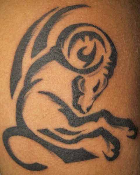 aries ram tattoo designs
