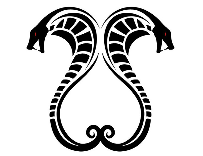 Tribal Snake Head Designs