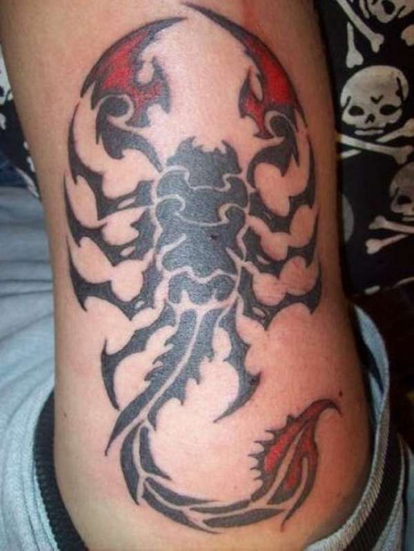 18 Stunning Tribal Scorpion Tattoo | Only Tribal